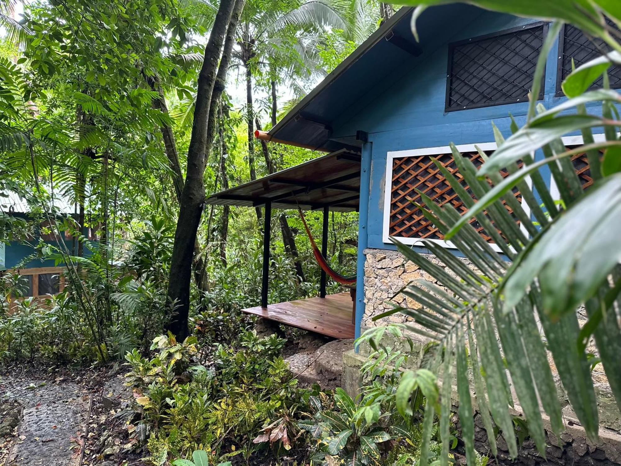 Finca Tatin Hotel Izabal Kültér fotó