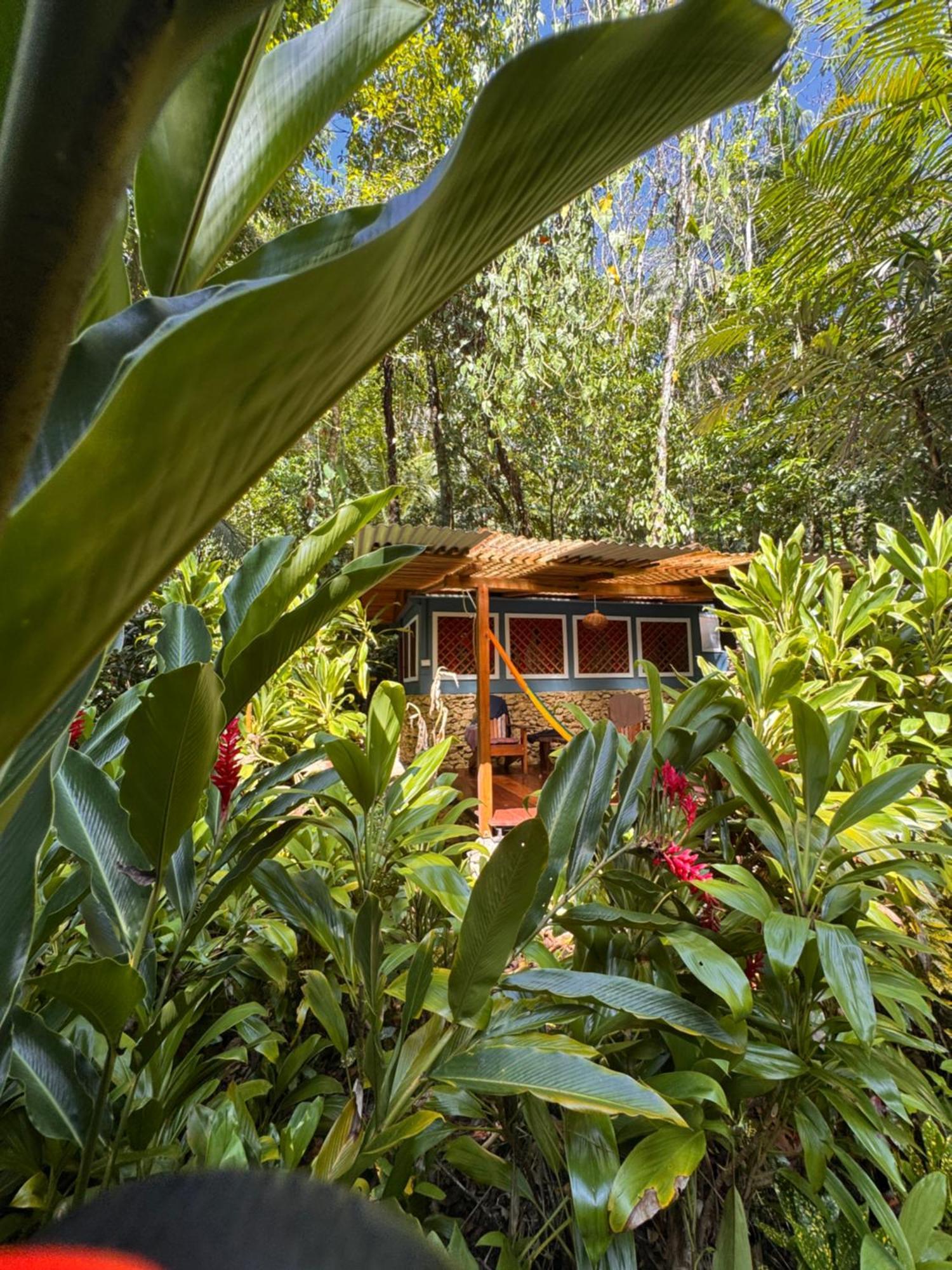 Finca Tatin Hotel Izabal Kültér fotó
