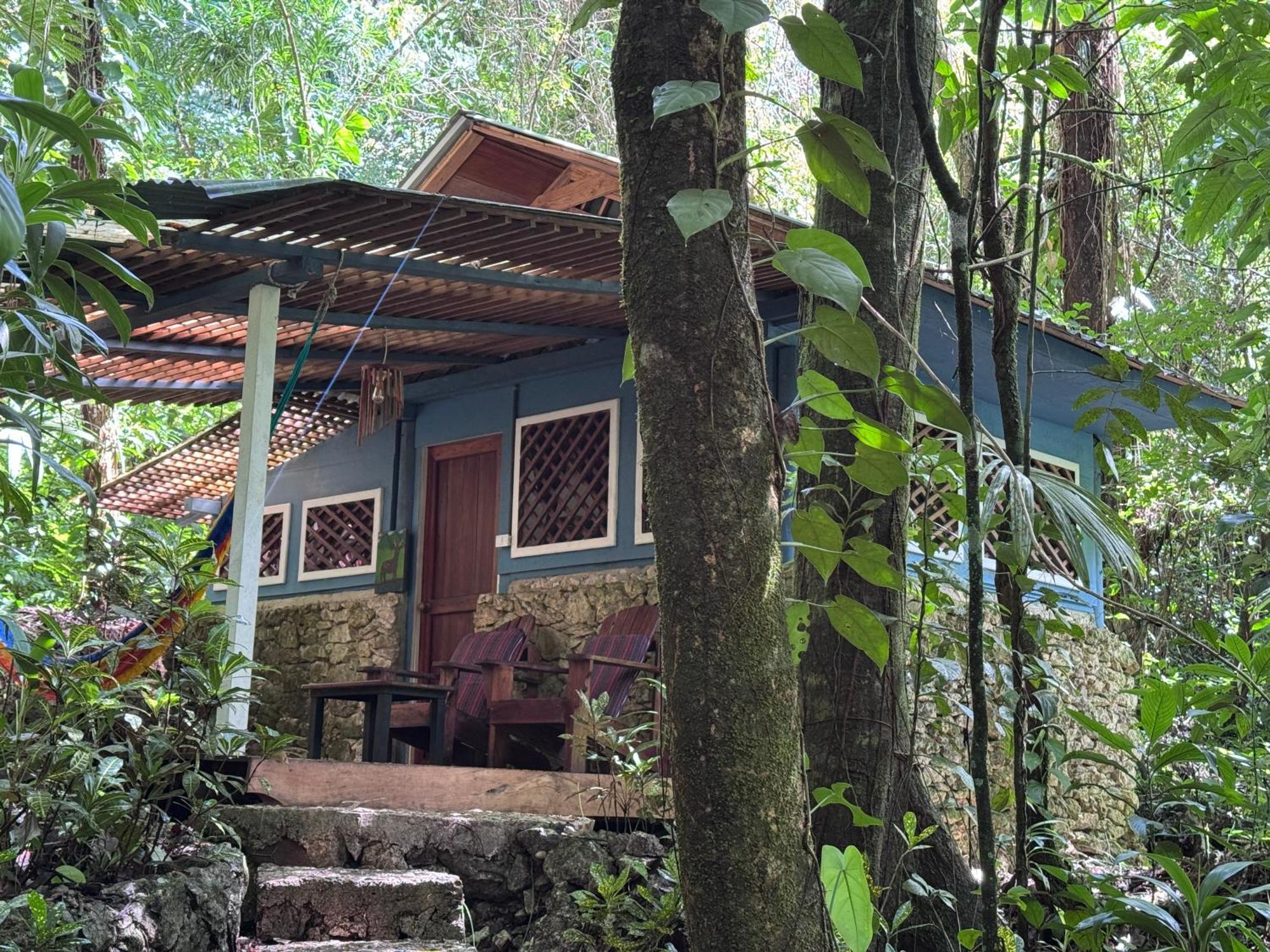 Finca Tatin Hotel Izabal Kültér fotó
